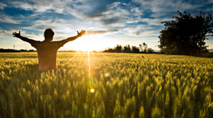 Vi har mere end 35 års erfaring og over 8.000 løsninger i drift