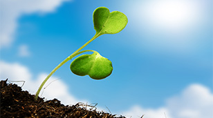 Brug for grøn finansiering?