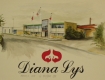 Diana Lys